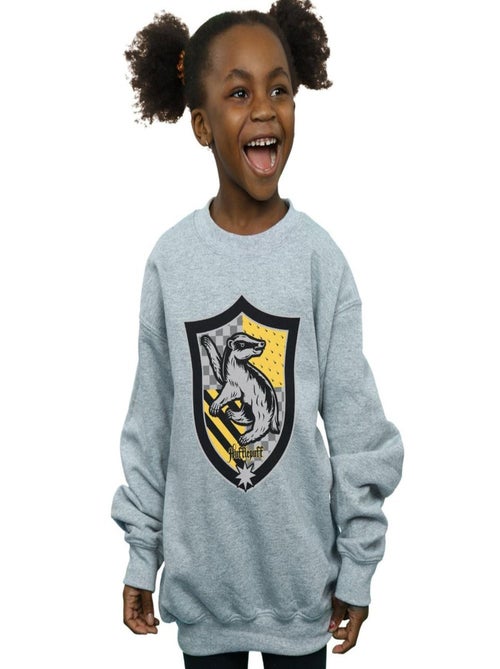 Harry Potter - Sweat HUFFLEPUFF - Kiabi