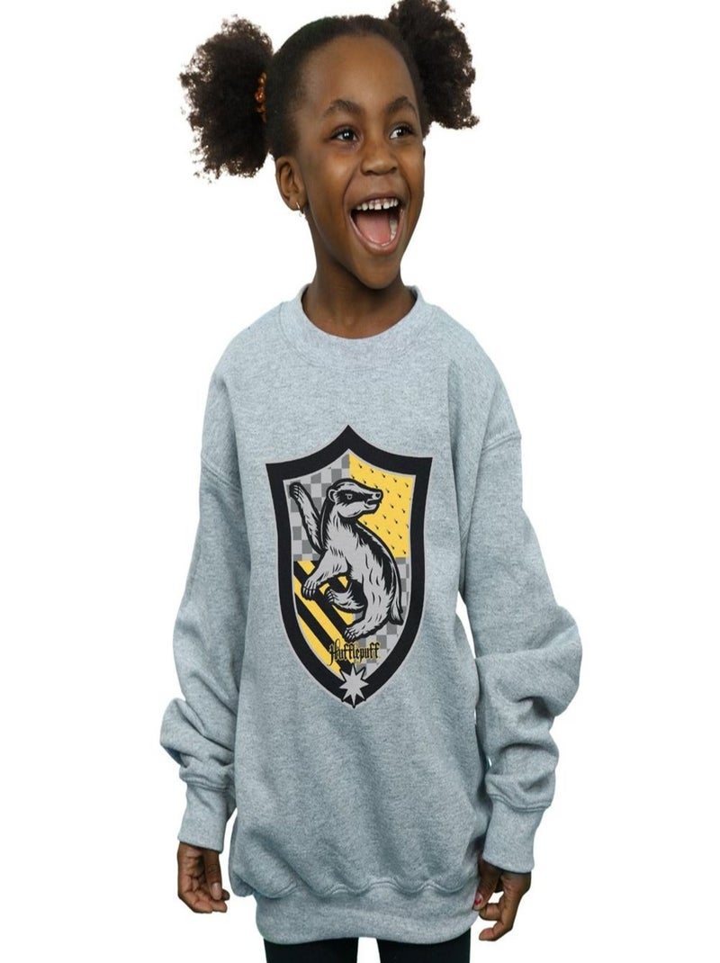 Harry Potter - Sweat HUFFLEPUFF Gris chiné - Kiabi