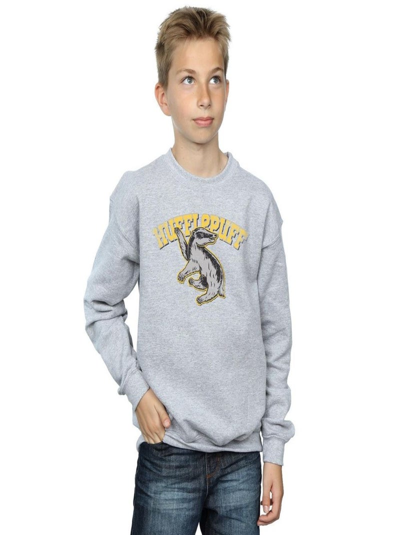 Harry Potter - Sweat HUFFLEPUFF Gris chiné - Kiabi
