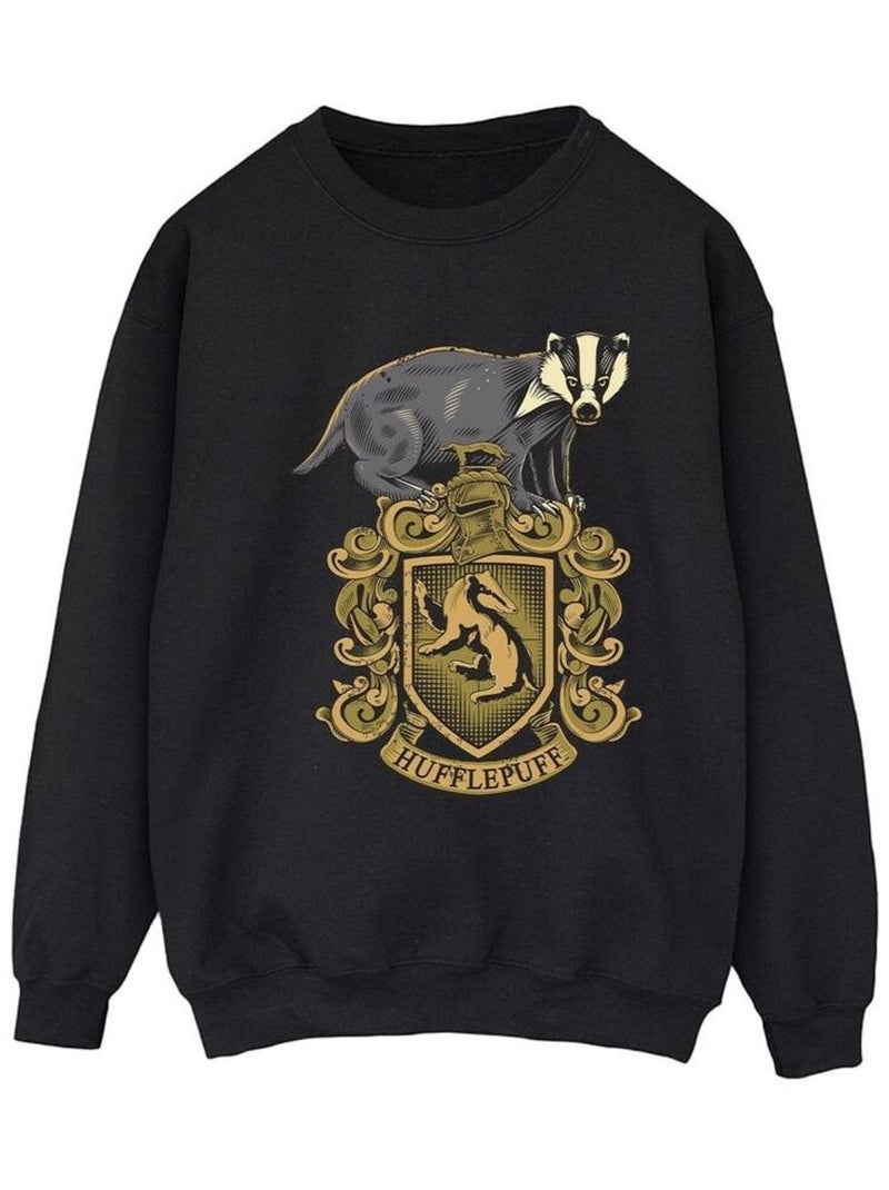 Harry Potter - Sweat HUFFLEPUFF Noir - Kiabi