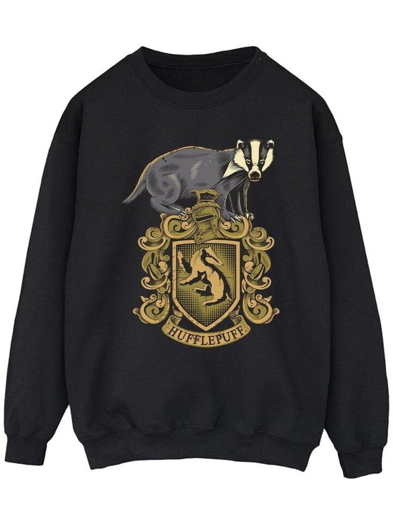 Harry Potter - Sweat HUFFLEPUFF Noir - Kiabi