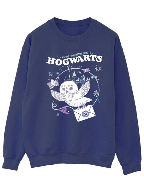 Harry Potter - Sweat LETTER FROM HOGWARTS - Kiabi