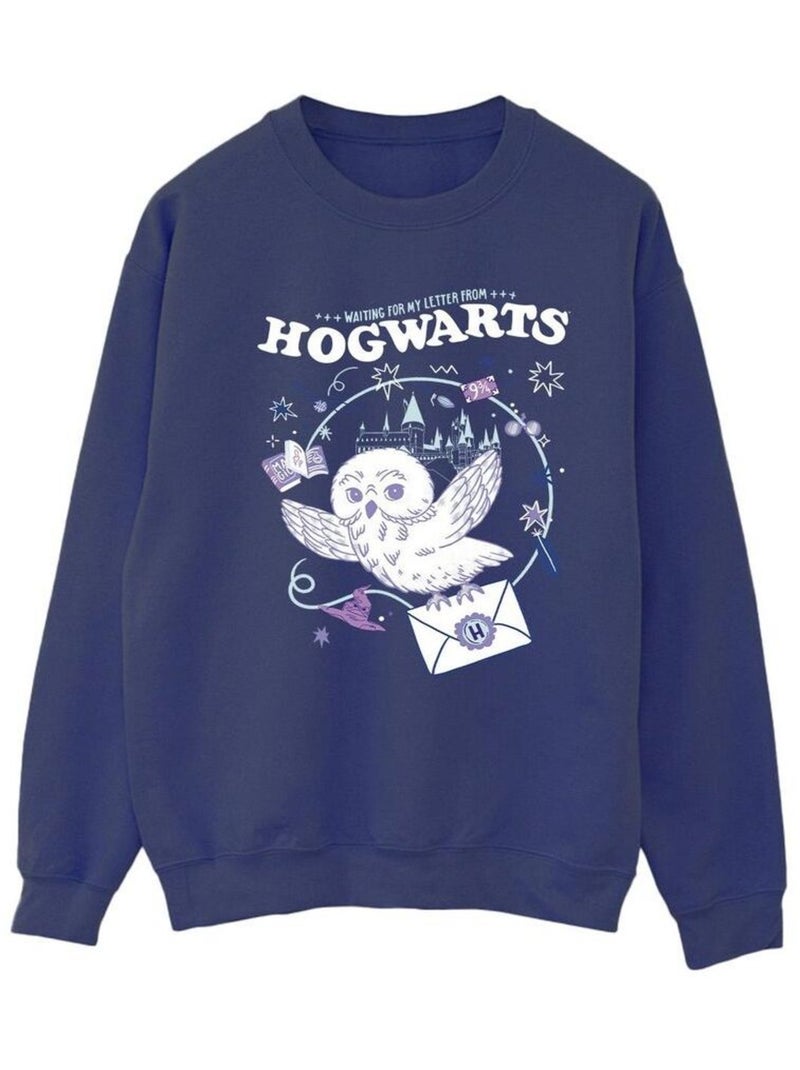 Harry Potter - Sweat LETTER FROM HOGWARTS Bleu marine - Kiabi