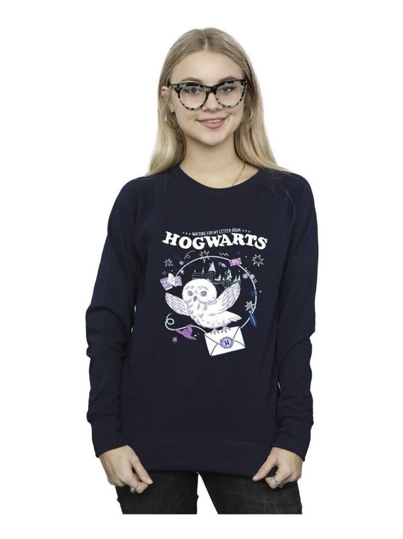 Harry Potter - Sweat LETTER FROM HOGWARTS Bleu marine - Kiabi