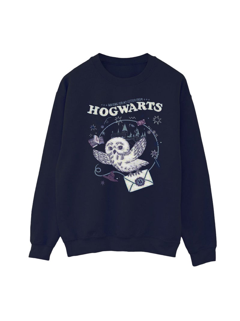 Harry Potter - Sweat LETTER FROM HOGWARTS Bleu marine - Kiabi