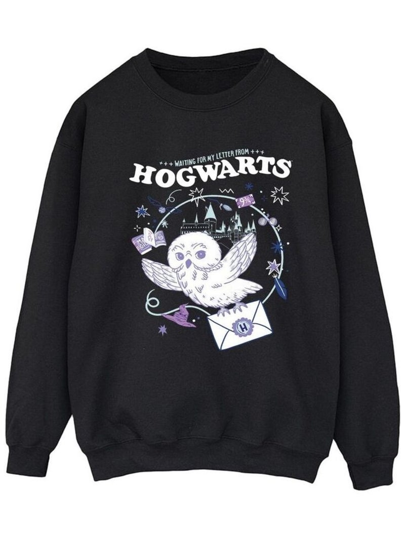 Harry Potter - Sweat LETTER FROM HOGWARTS Noir - Kiabi