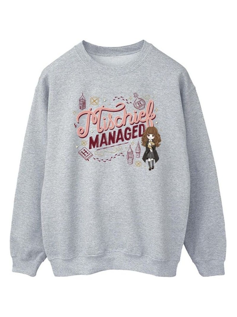 Harry Potter - Sweat MISCHIEF MANAGED Gris chiné - Kiabi