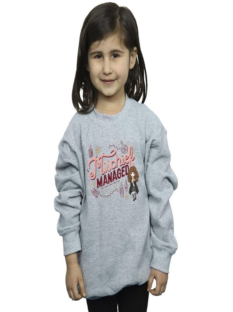 Harry Potter - Sweat MISCHIEF MANAGED Gris chiné - Kiabi