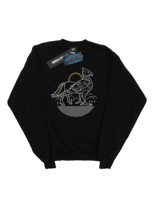 Harry Potter - Sweat - Kiabi