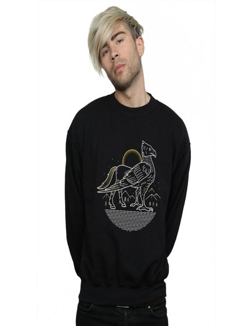 Harry Potter - Sweat - Kiabi