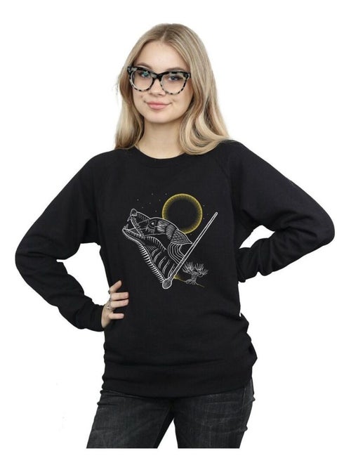 Harry Potter - Sweat - Kiabi