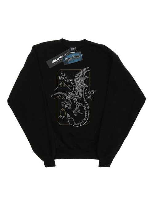 Harry Potter - Sweat - Kiabi