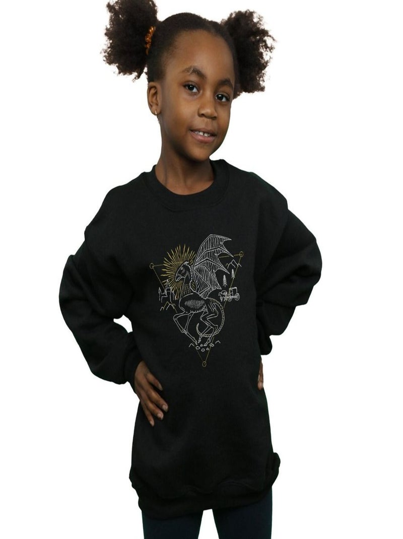Harry Potter - Sweat Noir - Kiabi