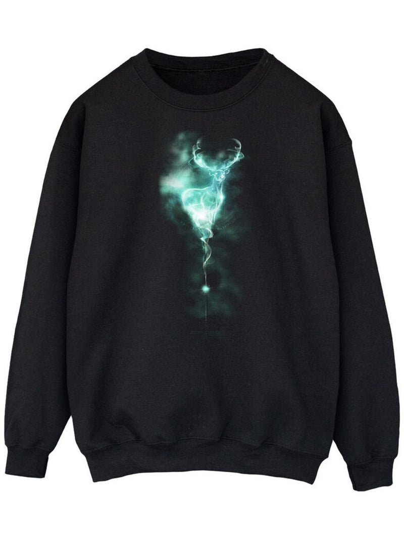 Harry Potter - Sweat PATRONUS MIST Noir - Kiabi