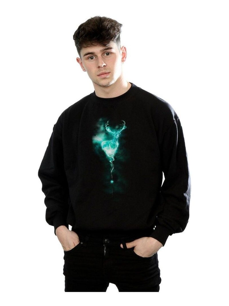 Harry Potter - Sweat PATRONUS MIST Noir - Kiabi
