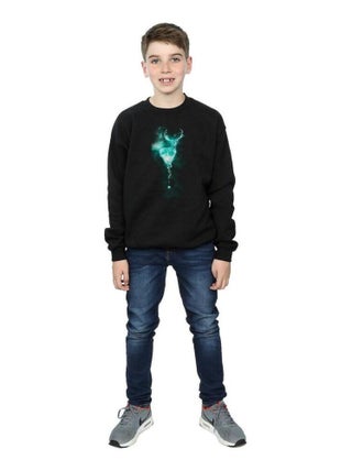 Harry Potter - Sweat PATRONUS MIST