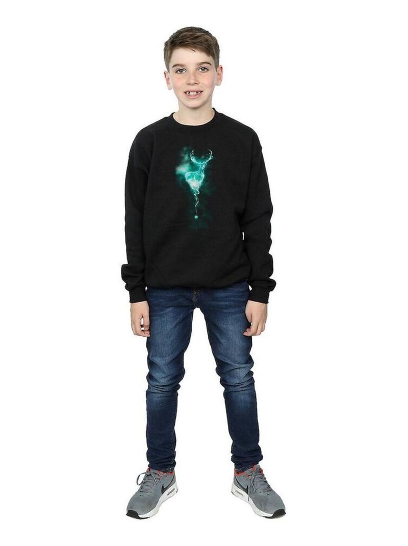 Harry Potter - Sweat PATRONUS MIST Noir - Kiabi