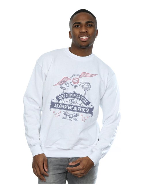 Harry Potter - Sweat QUIDDITCH AT HOGWARTS - Kiabi