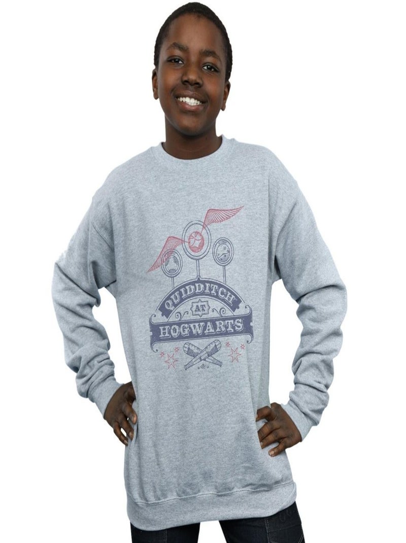 Harry Potter - Sweat QUIDDITCH AT HOGWARTS Gris chiné - Kiabi