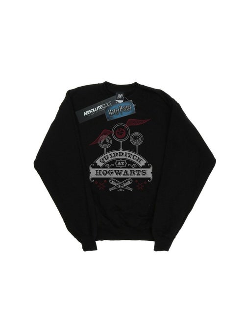 Harry Potter - Sweat QUIDDITCH AT HOGWARTS - Kiabi Harry Potter - Sweat QUIDDITCH AT HOGWARTS - Kiabi