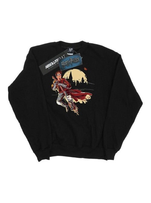 Harry Potter - Sweat QUIDDITCH SEEKER - Kiabi