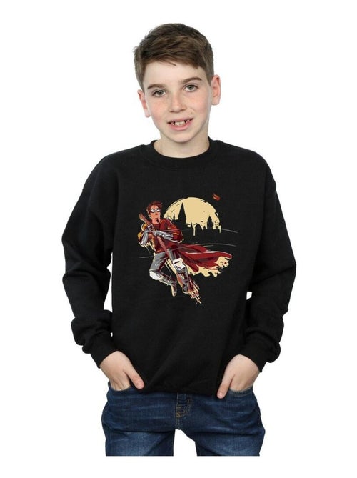 Harry Potter - Sweat QUIDDITCH SEEKER - Kiabi