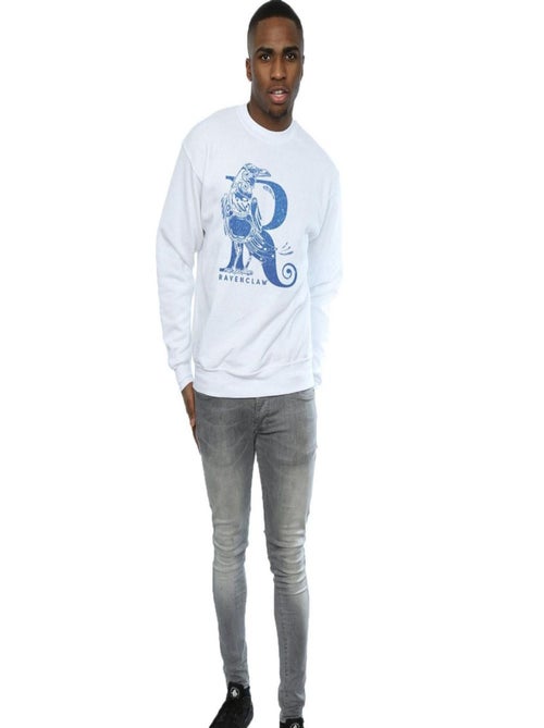 Harry Potter - Sweat RAVENCLAW - Kiabi Harry Potter - Sweat RAVENCLAW - Kiabi