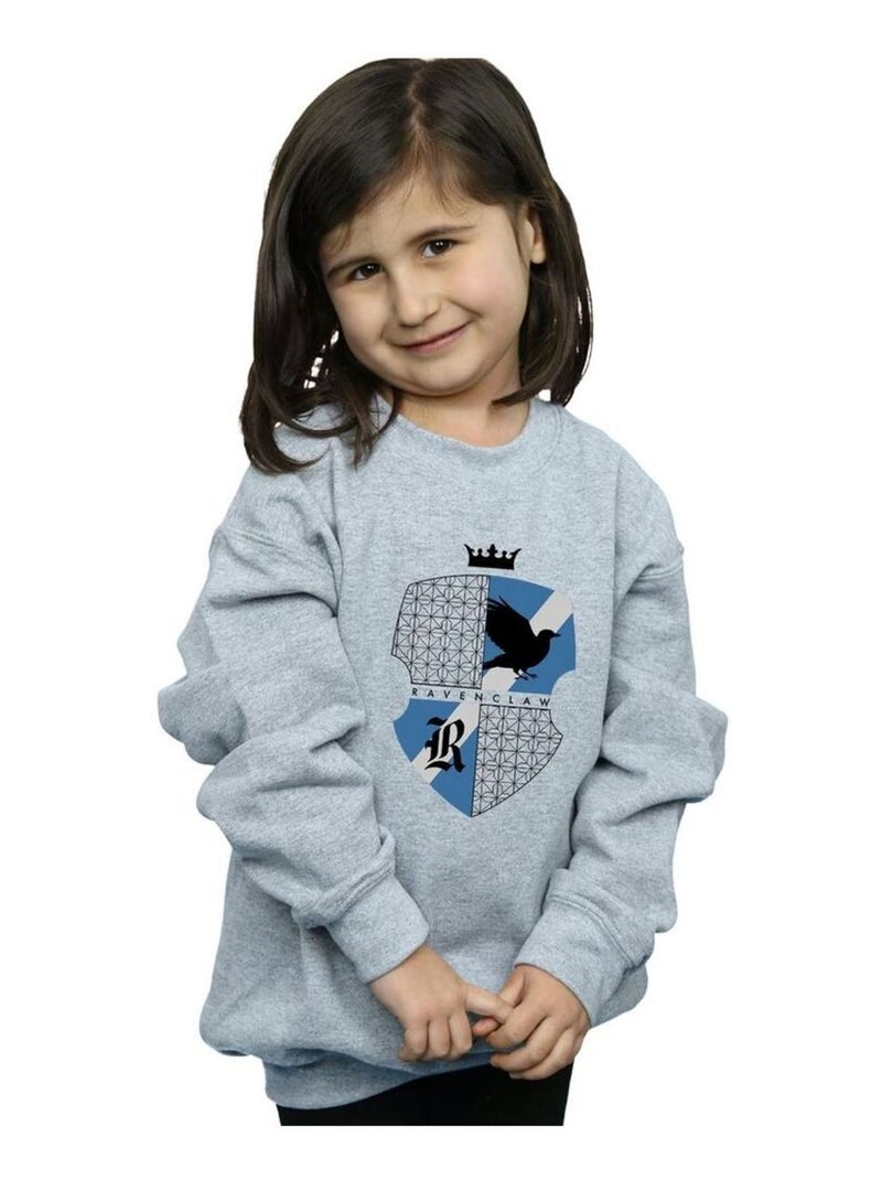 Harry Potter - Sweat RAVENCLAW Gris chiné - Kiabi