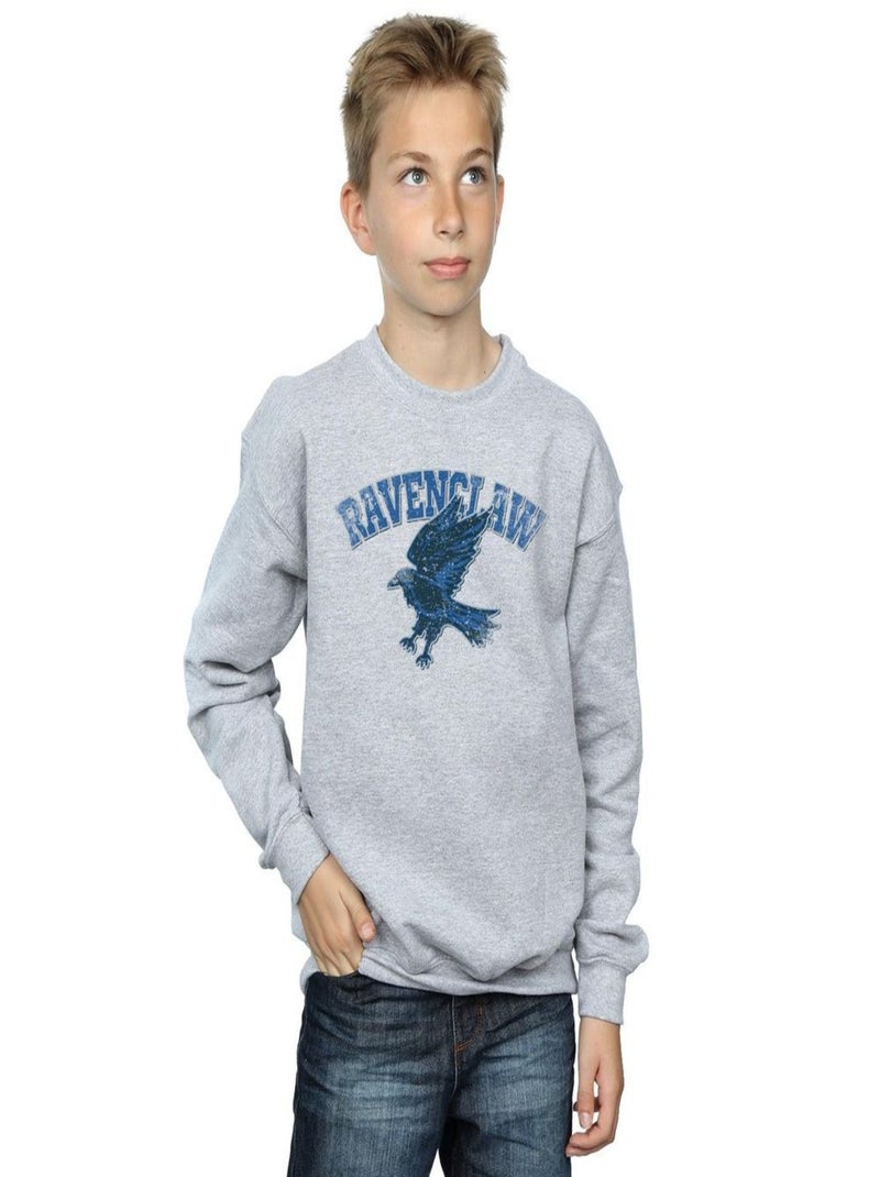 Harry Potter - Sweat RAVENCLAW Gris chiné - Kiabi