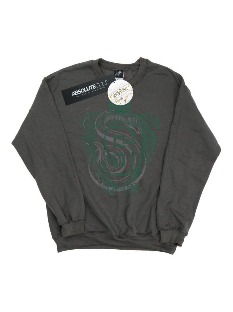 Harry Potter - Sweat SLYTHERIN Gris Noir - Kiabi