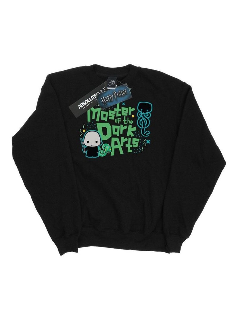 Harry Potter - Sweat VOLDEMORT DARK ARTS JUNIOR Noir - Kiabi