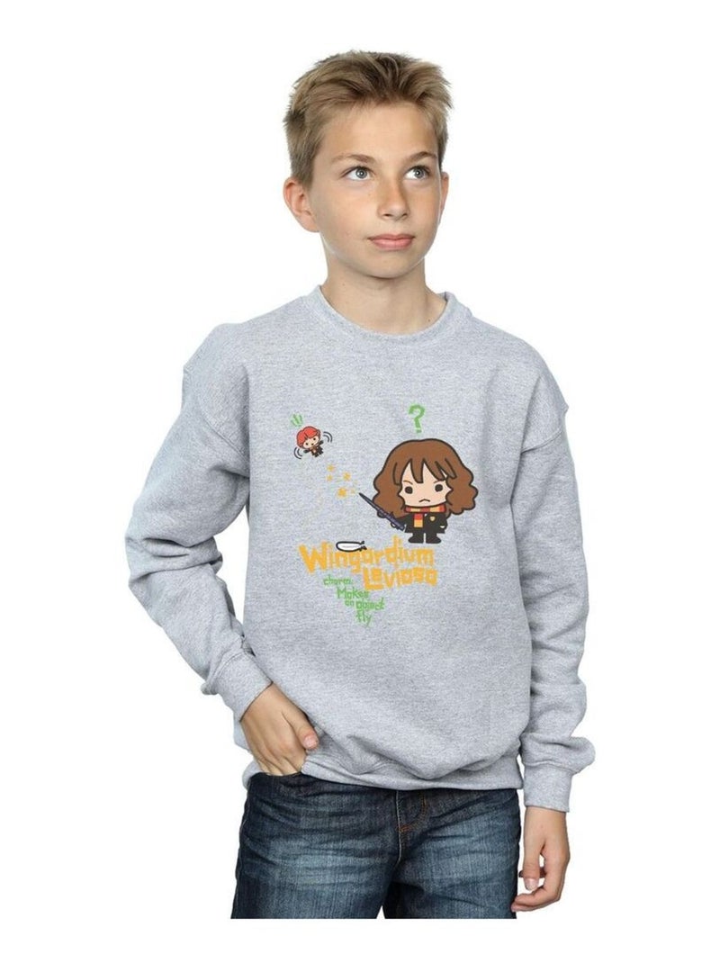 Harry Potter - Sweat WINGARDIUM LEVIOSA Gris chiné - Kiabi