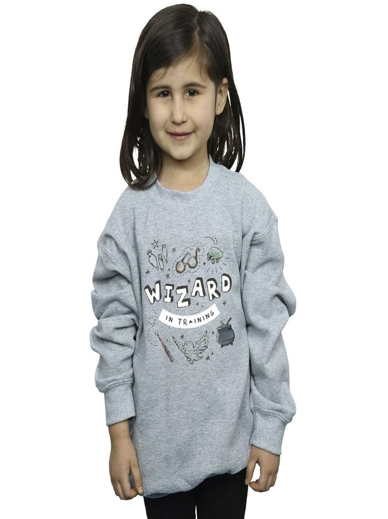 Harry Potter - Sweat WIZARD IN TRAINING Gris chiné - Kiabi