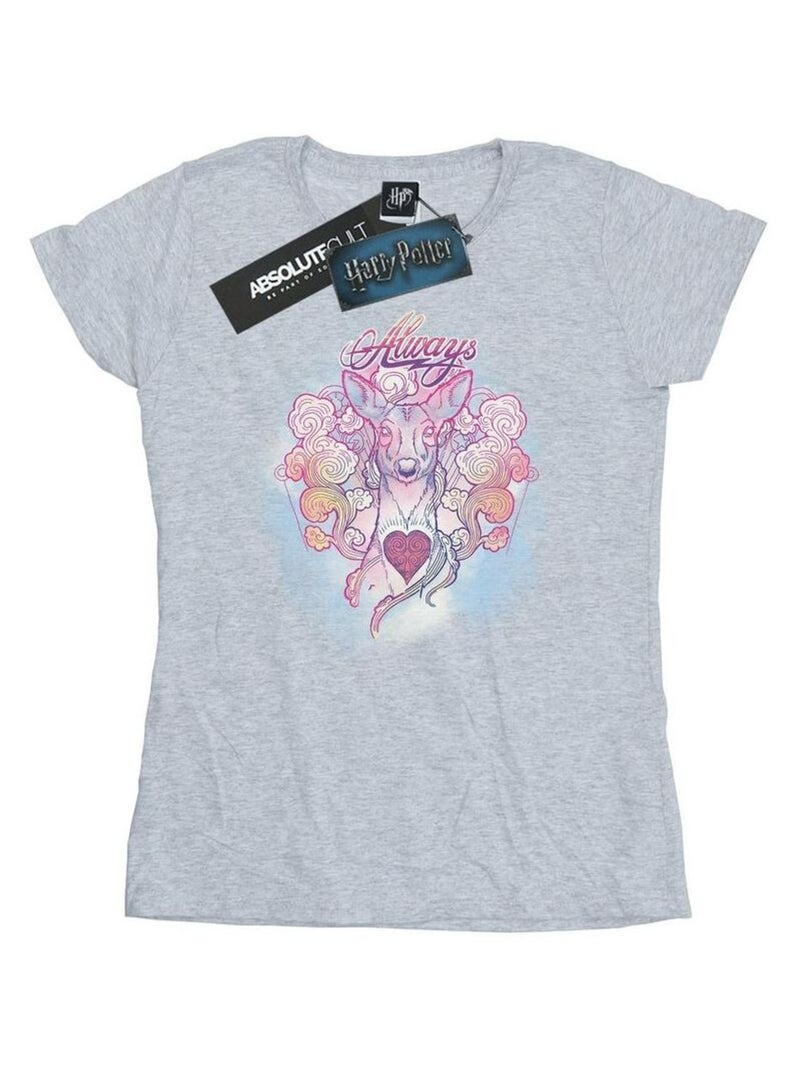 Harry Potter - T-shirt ALWAYS Gris chiné - Kiabi