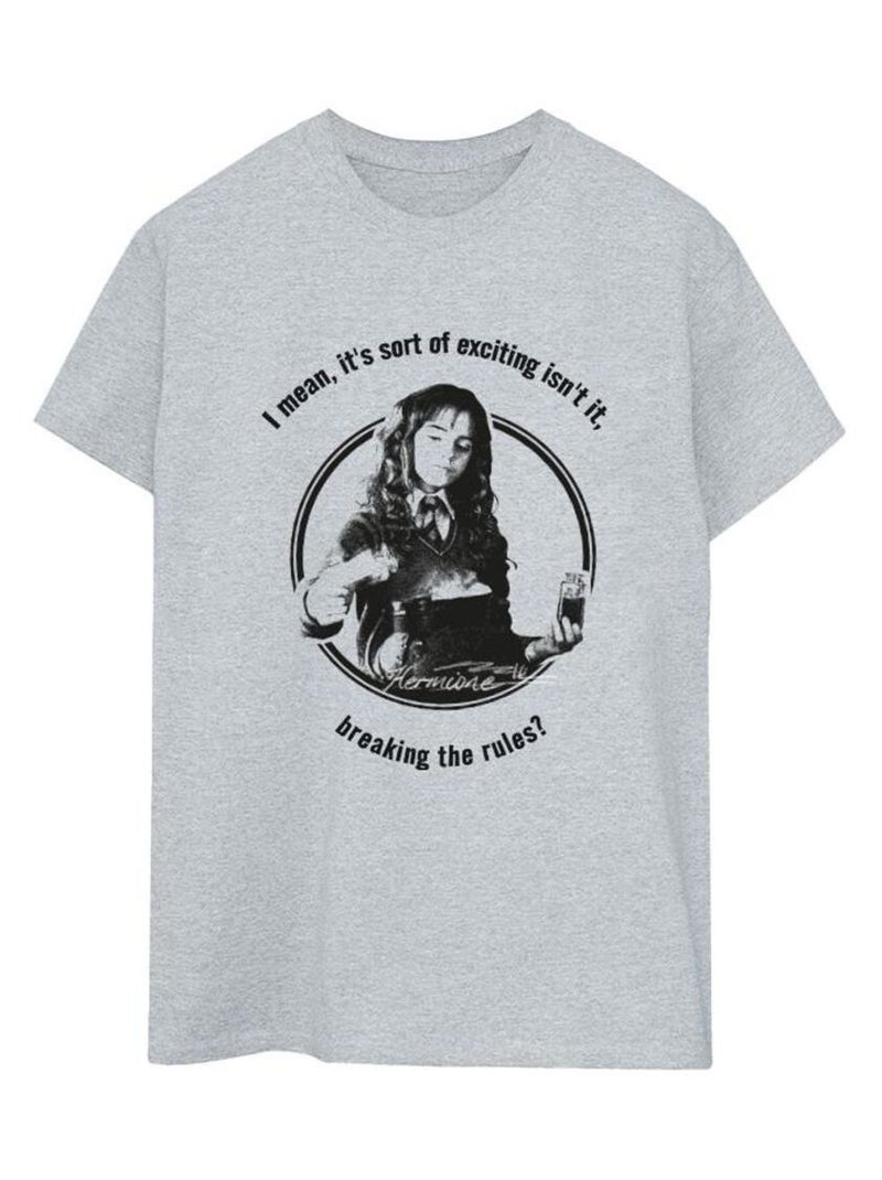 Harry Potter - T-shirt BREAKING THE RULES Gris chiné - Kiabi