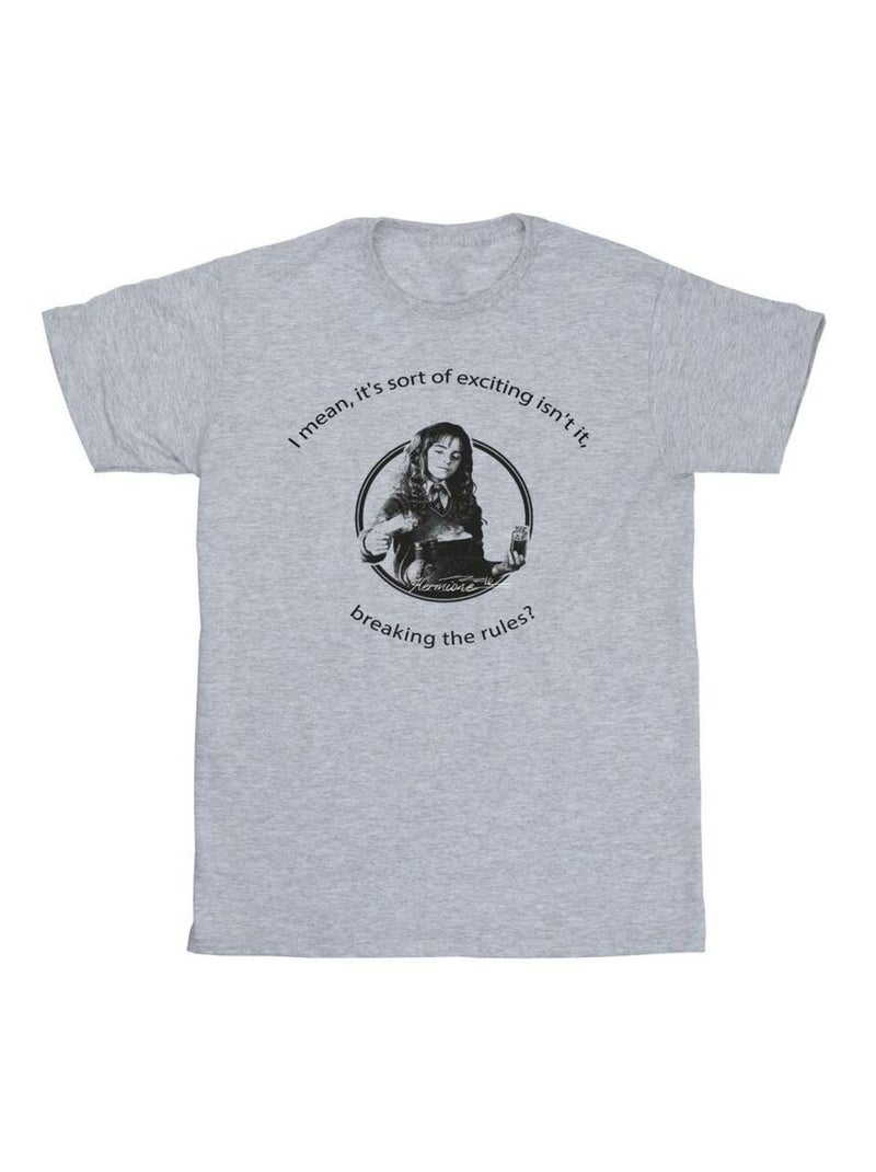 Harry Potter - T-shirt BREAKING THE RULES Gris chiné - Kiabi