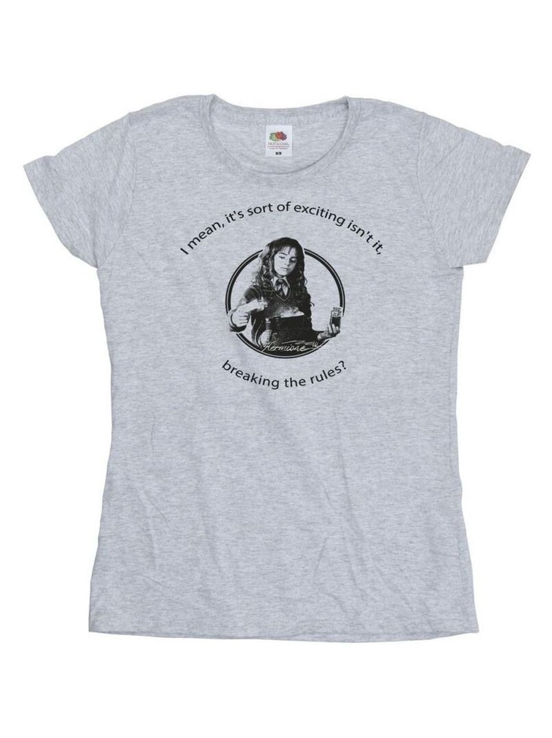 Harry Potter - T-shirt BREAKING THE RULES Gris chiné - Kiabi