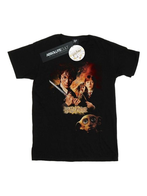 Harry Potter - T-shirt CHAMBER OF SECRETS - Kiabi