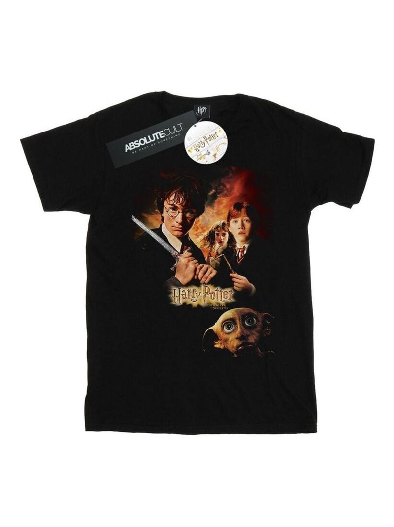 Harry Potter - T-shirt CHAMBER OF SECRETS Noir - Kiabi