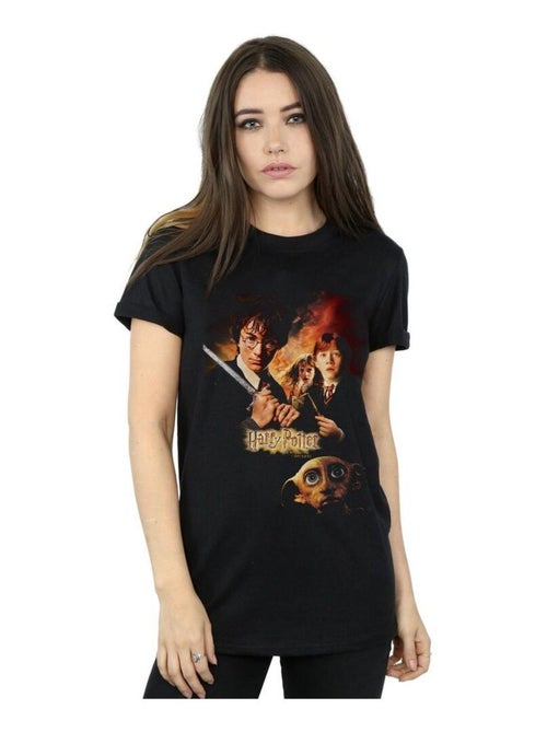 Harry Potter - T-shirt CHAMBER OF SECRETS - Kiabi