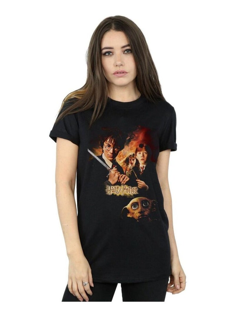 Harry Potter - T-shirt CHAMBER OF SECRETS Noir - Kiabi