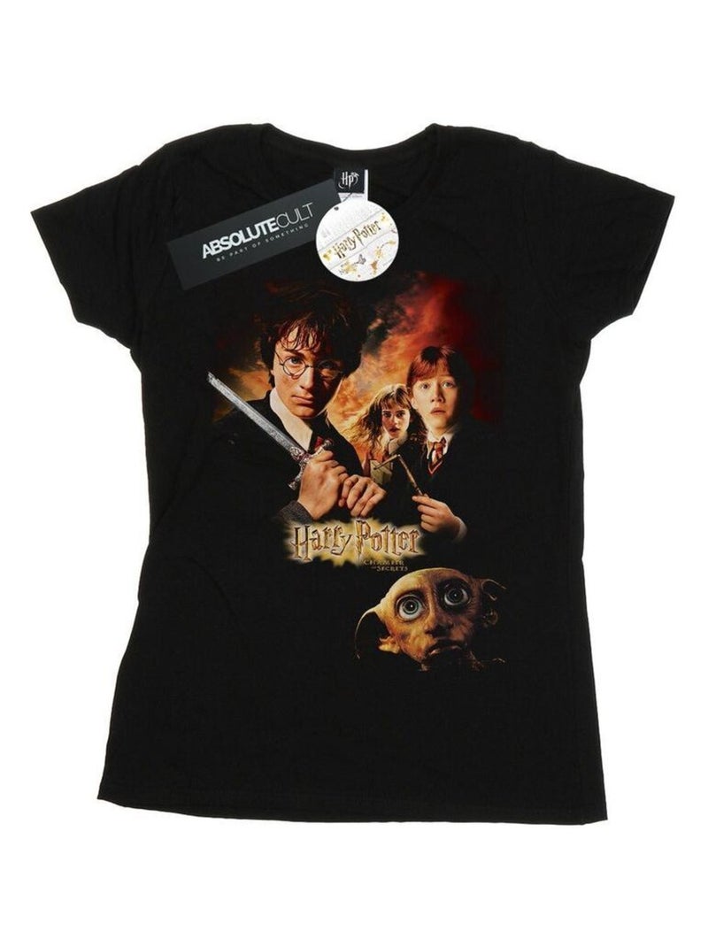 Harry Potter - T-shirt CHAMBER OF SECRETS Noir - Kiabi