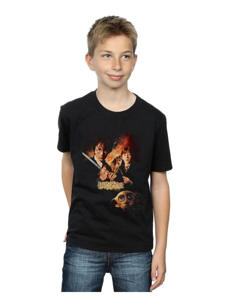 Harry Potter - T-shirt CHAMBER OF SECRETS Noir - Kiabi