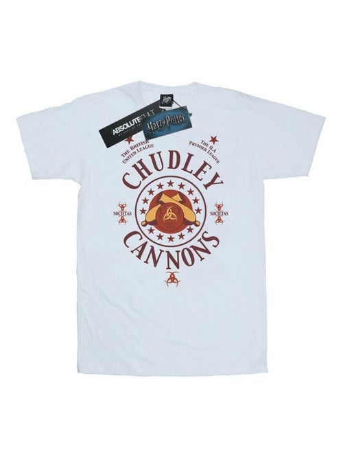 Harry Potter - T-shirt CHUDLEY CANNONS - Kiabi