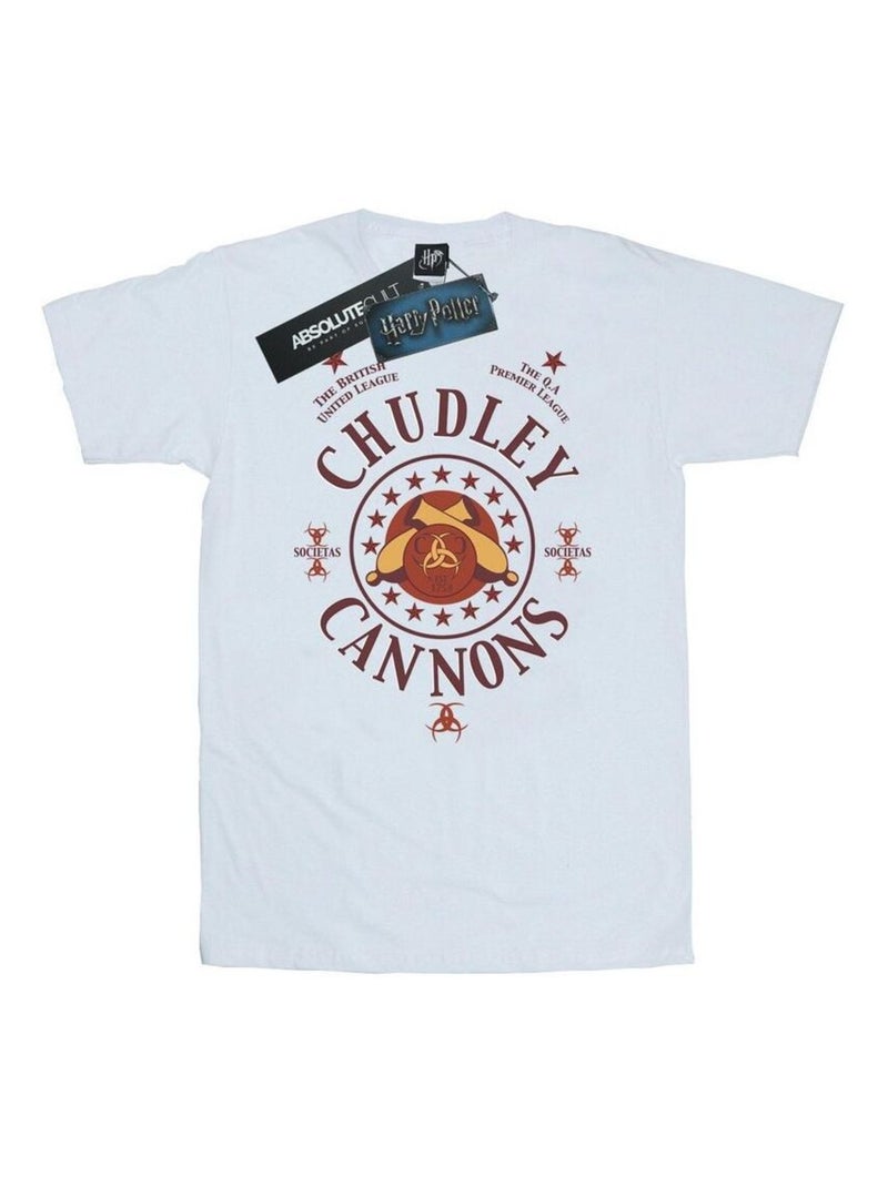 Harry Potter - T-shirt CHUDLEY CANNONS Blanc - Kiabi