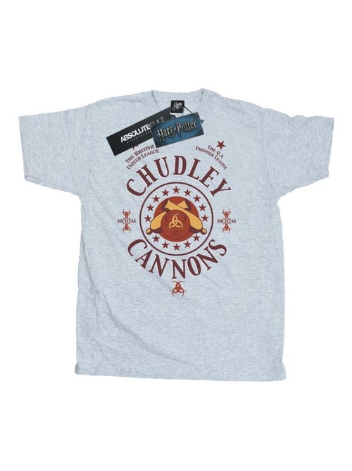 Harry Potter - T-shirt CHUDLEY CANNONS - Kiabi