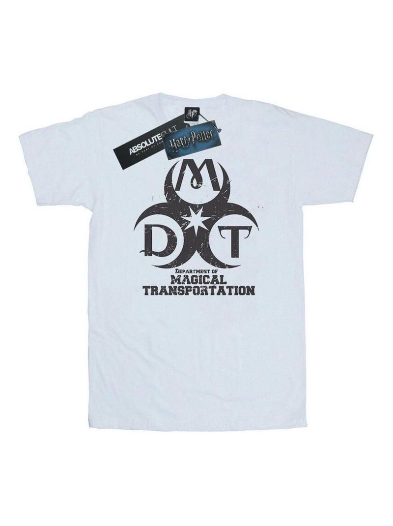 Harry Potter - T-shirt DEPARTMENT OF MAGICAL TRANSPORTATION Blanc - Kiabi