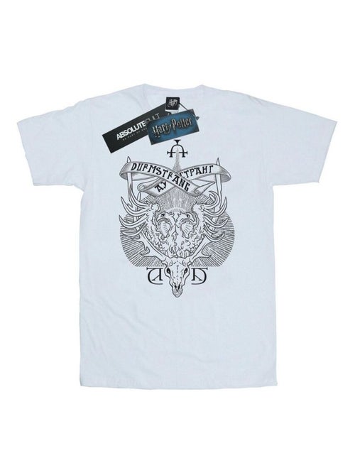 Harry Potter - T-shirt DURMSTRANG INSTITUTE - Kiabi