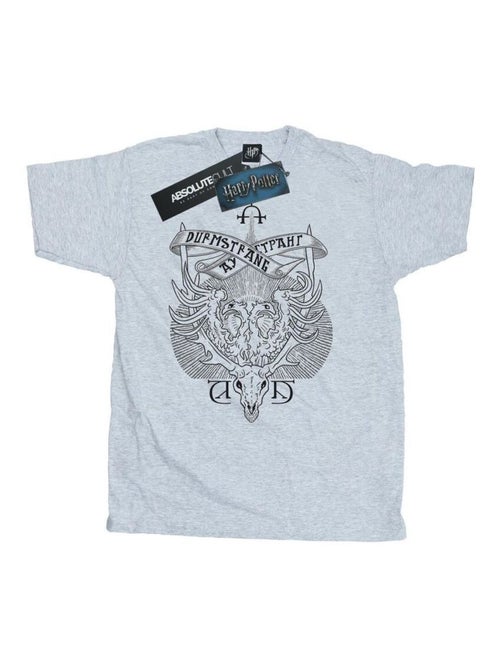 Harry Potter - T-shirt DURMSTRANG INSTITUTE - Kiabi