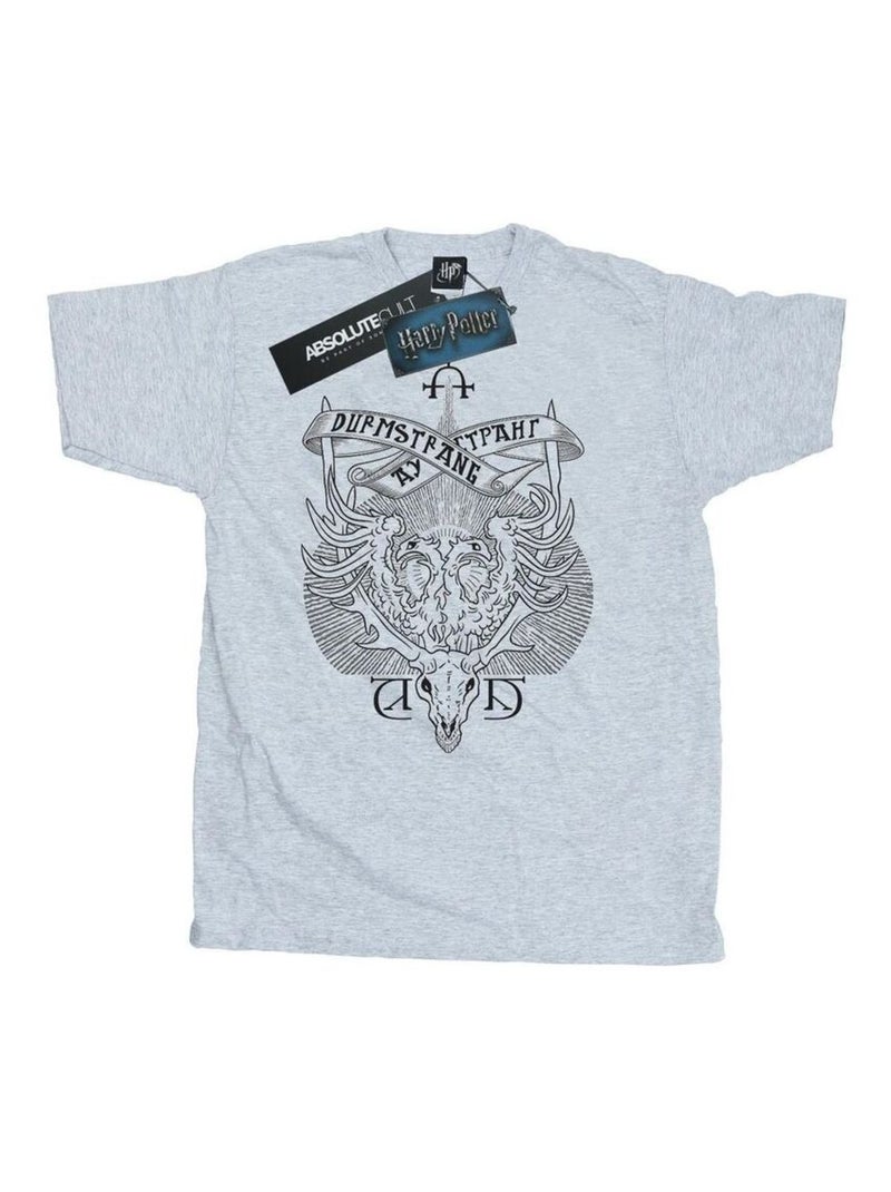 Harry Potter - T-shirt DURMSTRANG INSTITUTE Gris chiné - Kiabi